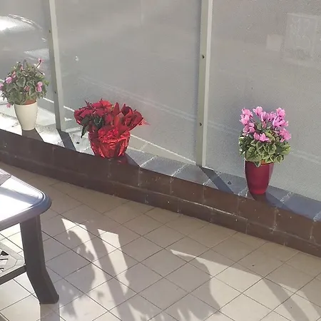 San Vitale 2* بولونيا