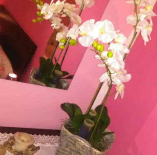 Bed and Breakfast San Vitale